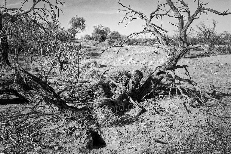 Outback New South Wales, Australia